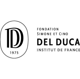 Logo de la Fondation Simone et Cino del Duca, soutien à la recherche et à l’innovation scientifique